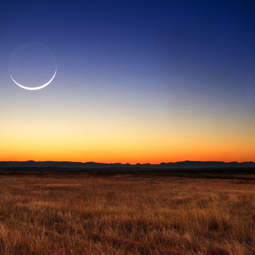 Manifesting Money for the New Moon: A Powerful Ritual Guide